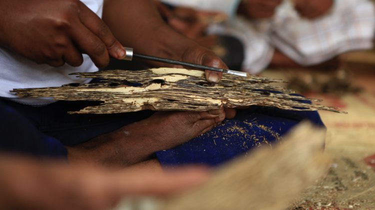 From Forest to Fragrance, the Journey of Oud